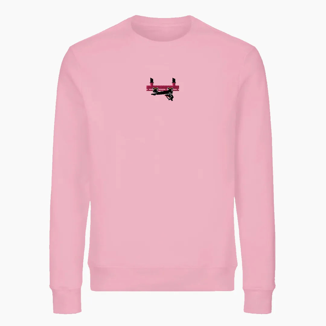 FLYING COASTER BRÜHL FRONTCAR premium sweatshirt