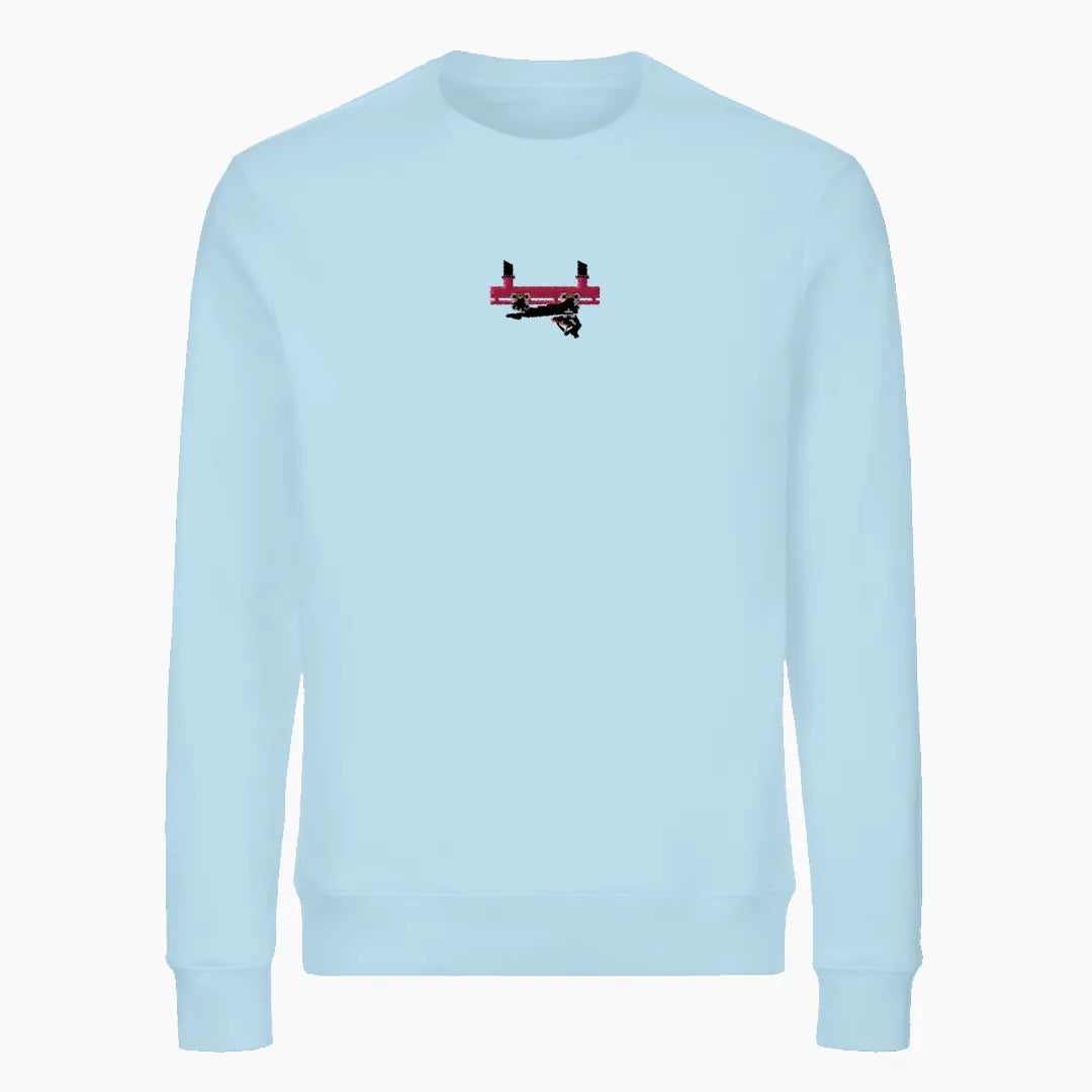 FLYING COASTER BRÜHL FRONTCAR premium sweatshirt