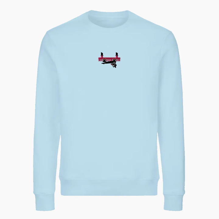 FLYING COASTER BRÜHL FRONTCAR premium sweatshirt