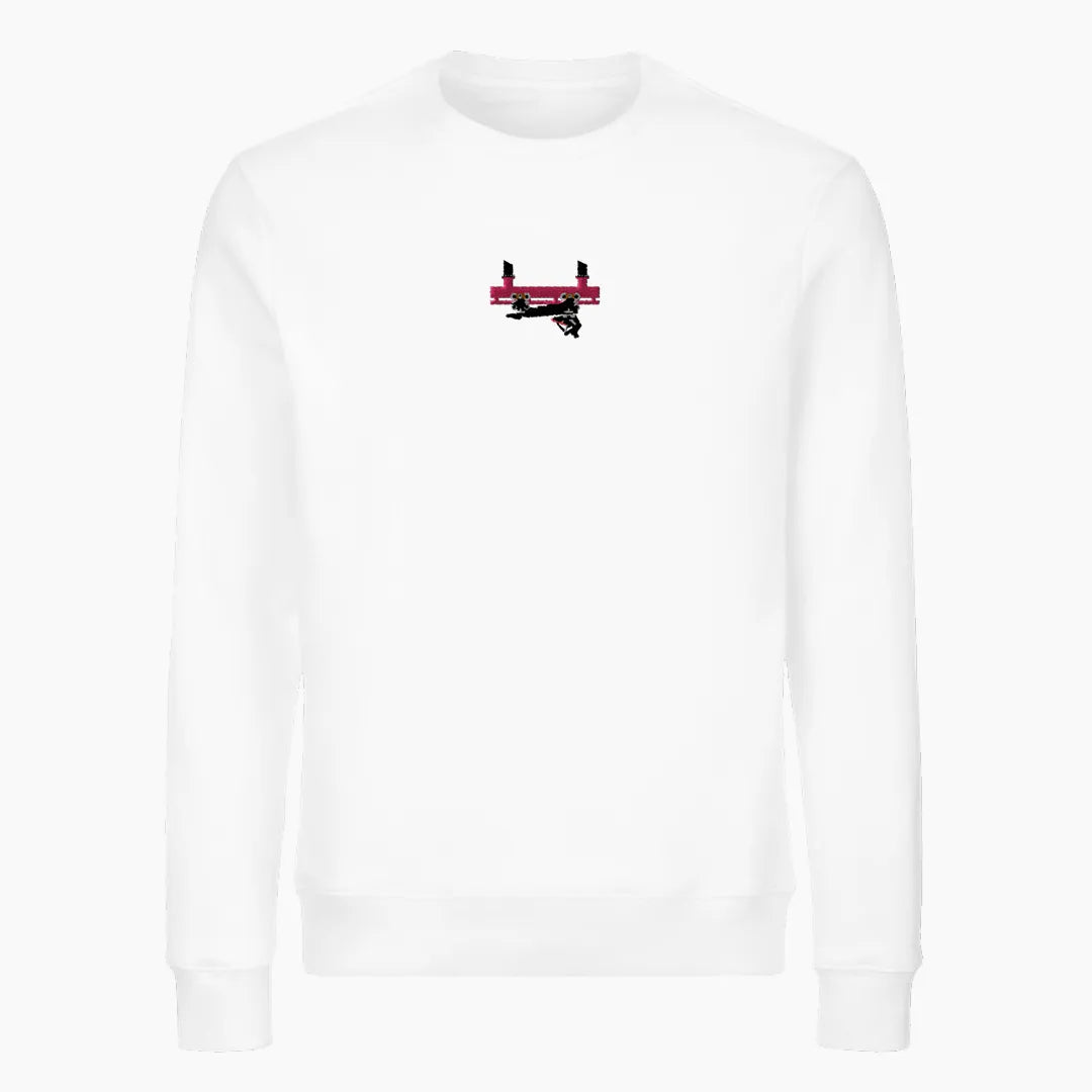 FLYING COASTER BRÜHL FRONTCAR premium sweatshirt