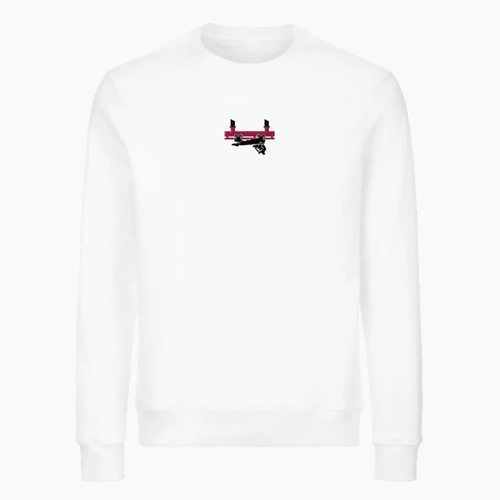 FLYING COASTER BRÜHL FRONTCAR premium sweatshirt