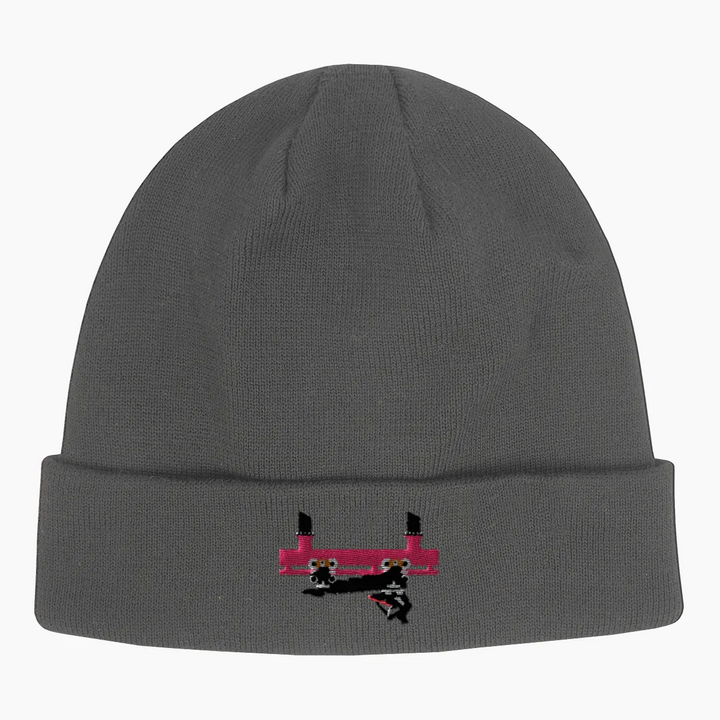 FLYING COASTER BRUHL FRONTCAR Beanie