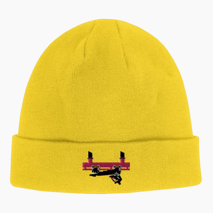FLYING COASTER BRUHL FRONTCAR Beanie