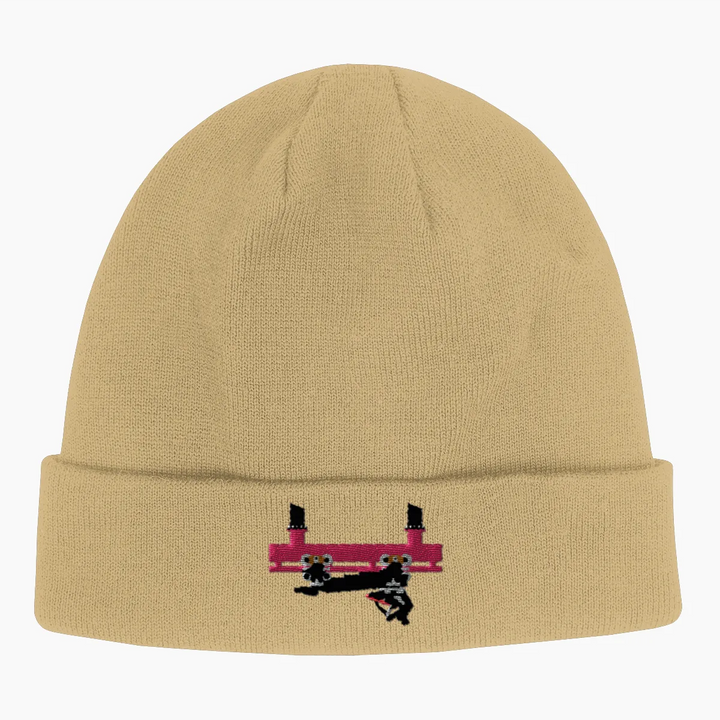 FLYING COASTER BRUHL FRONTCAR Beanie