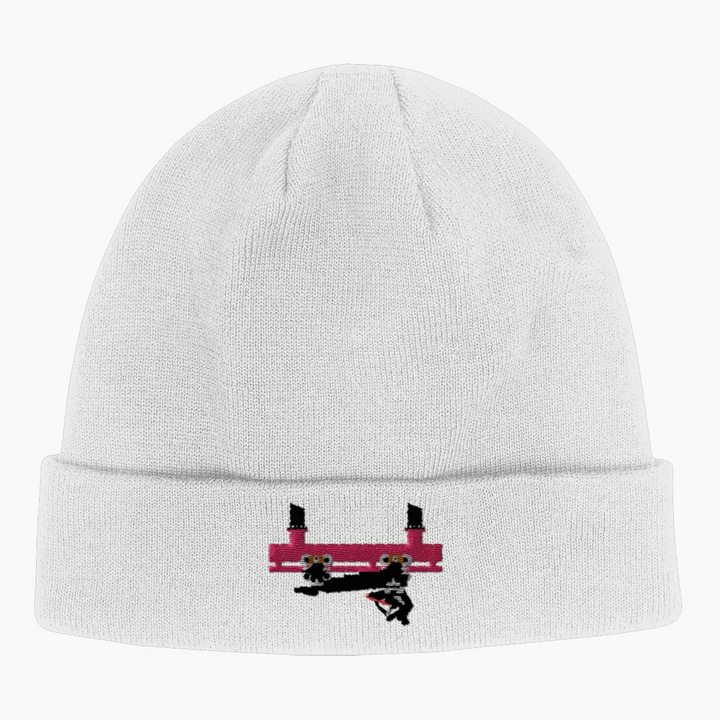 FLYING COASTER BRUHL FRONTCAR Beanie